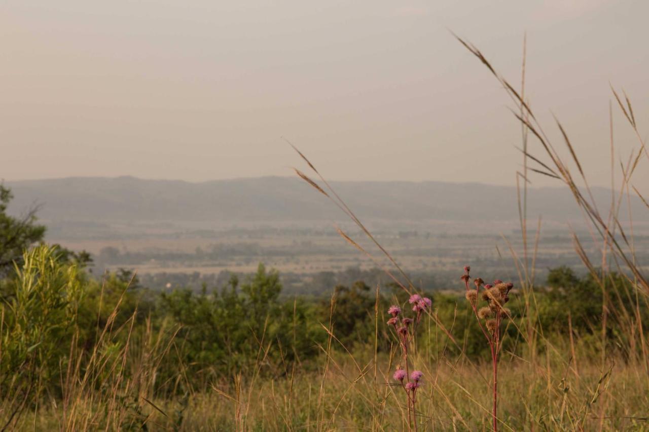 Remhoogte Mountain Lodge Jacksonstuin Ngoại thất bức ảnh