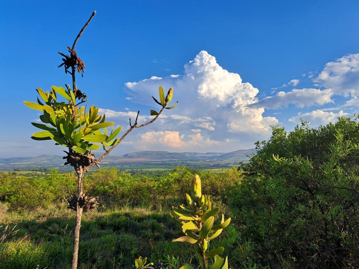 Remhoogte Mountain Lodge Jacksonstuin Ngoại thất bức ảnh
