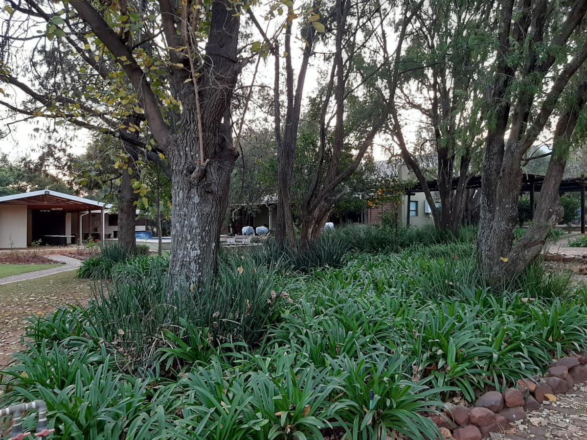 Remhoogte Mountain Lodge Jacksonstuin Ngoại thất bức ảnh